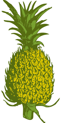 Image Credit: Pixabay